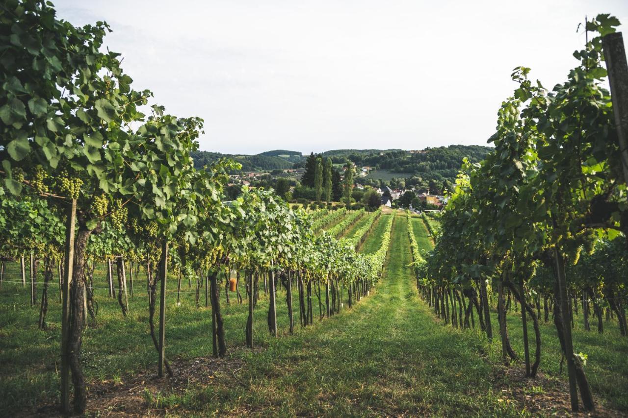 Wein & Gaestehof Erlacher Hartmannsdorf Exterior photo