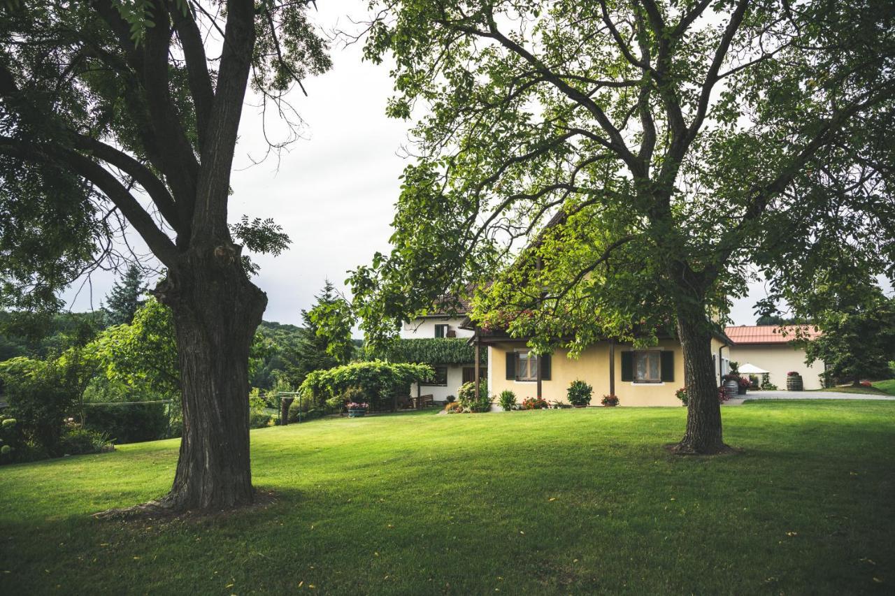 Wein & Gaestehof Erlacher Hartmannsdorf Exterior photo